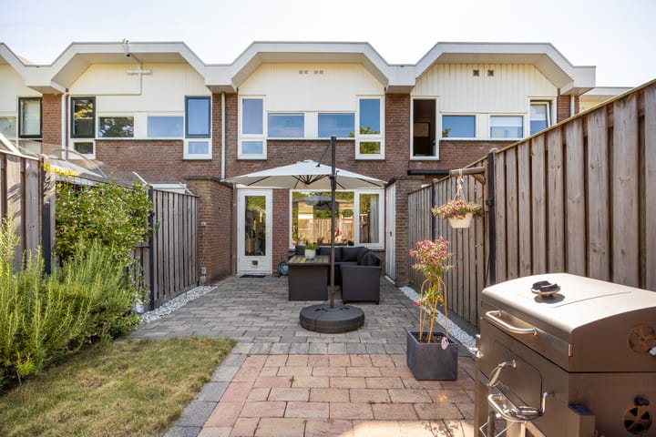 Foto 20 van Fakkelgras 21