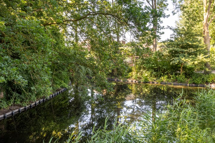 Foto 25 van Fakkelgras 21