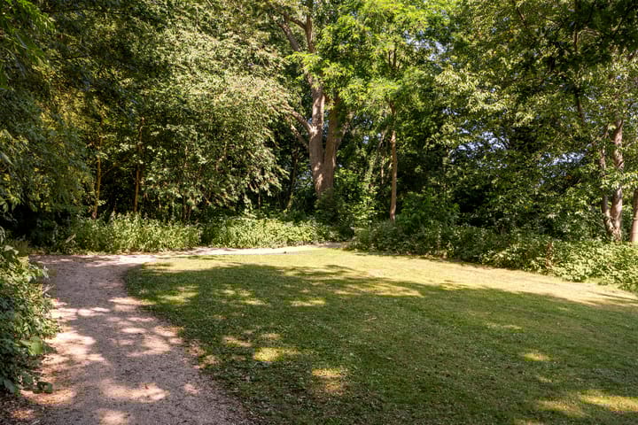 Foto 26 van Fakkelgras 21