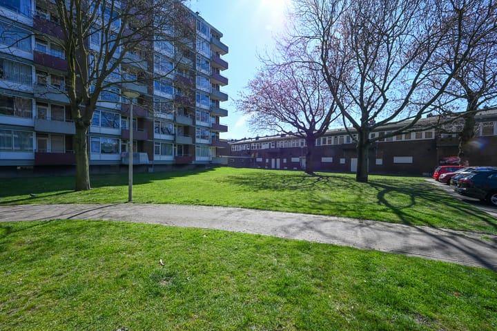 Photo 20 of Schiedamseweg 177