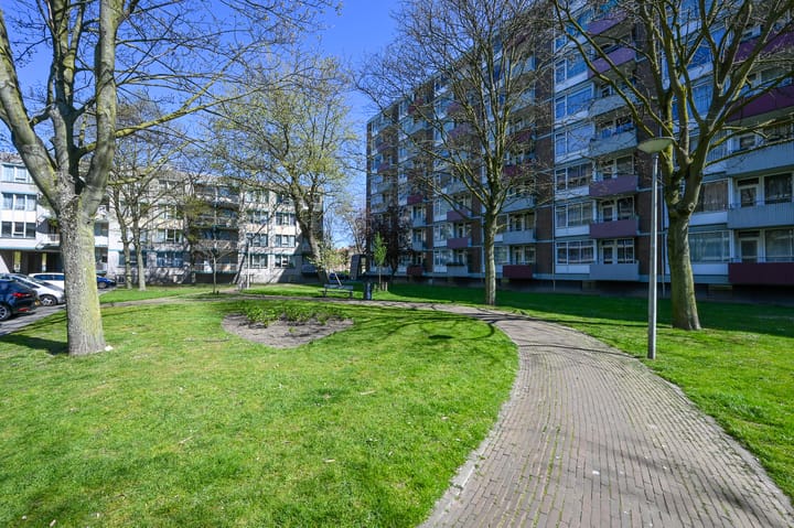 Photo 22 of Schiedamseweg 177