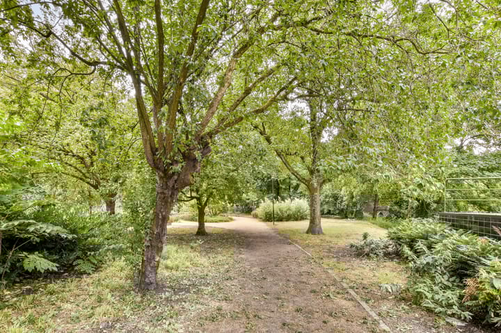 Foto 17 van Van Houweningenstraat 66-2