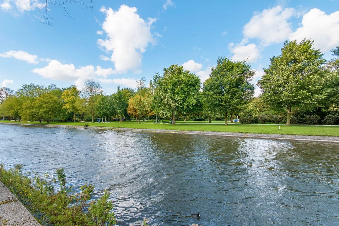 Foto 28 van Baetostraat 13-1