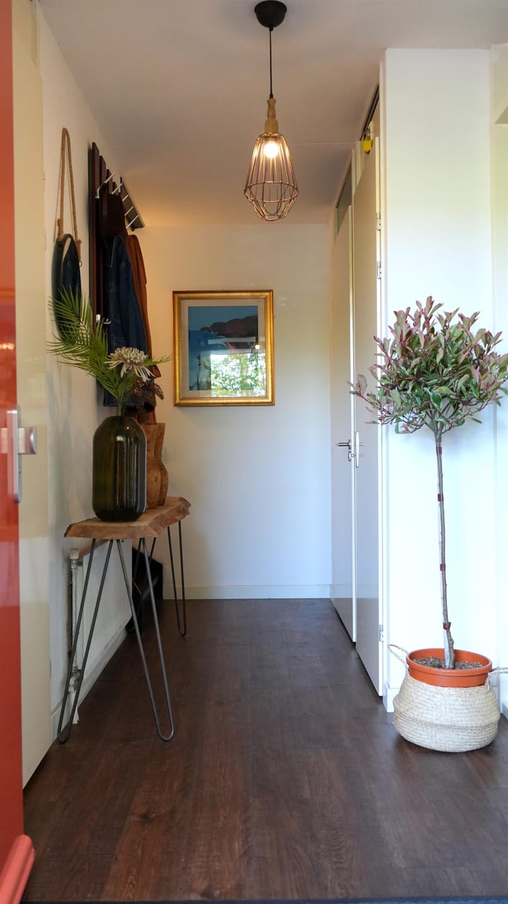 Foto 6 van Suikerpeerpad 3