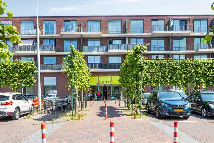 Foto 35 van Suikerpeerpad 3