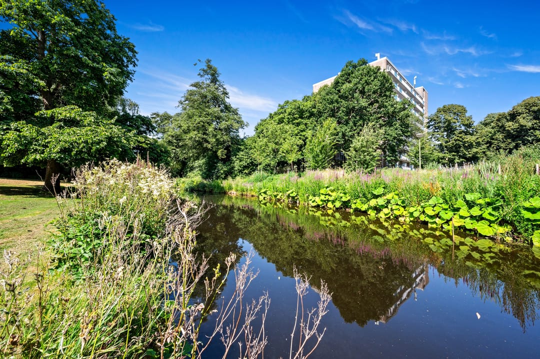 Foto 32 van De Genestetlaan 71