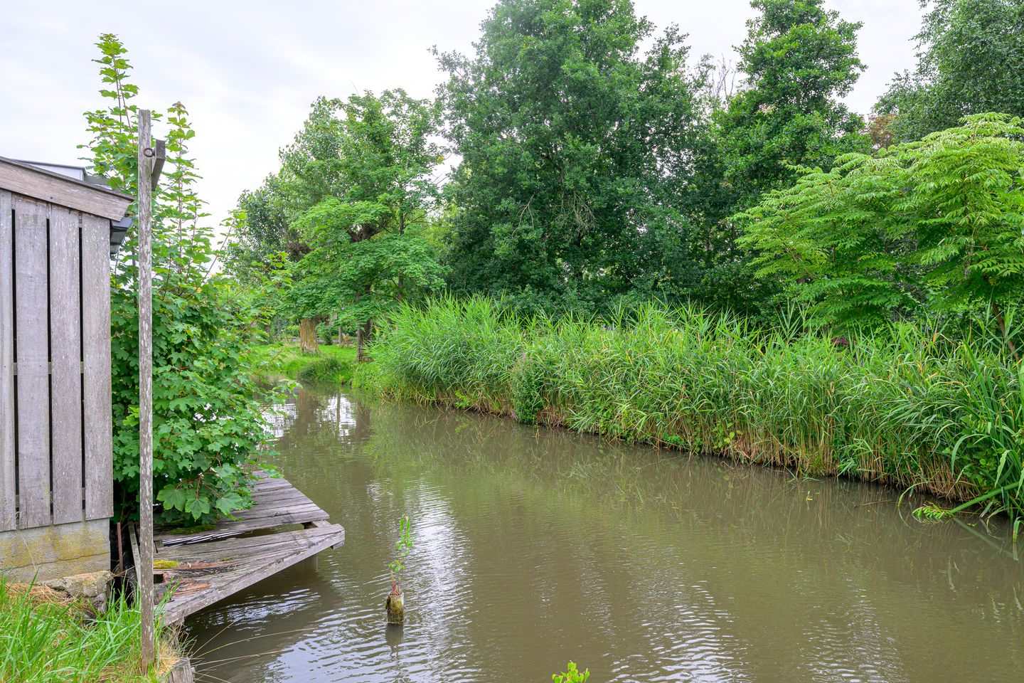 Foto 20 van Seevancksweg 11