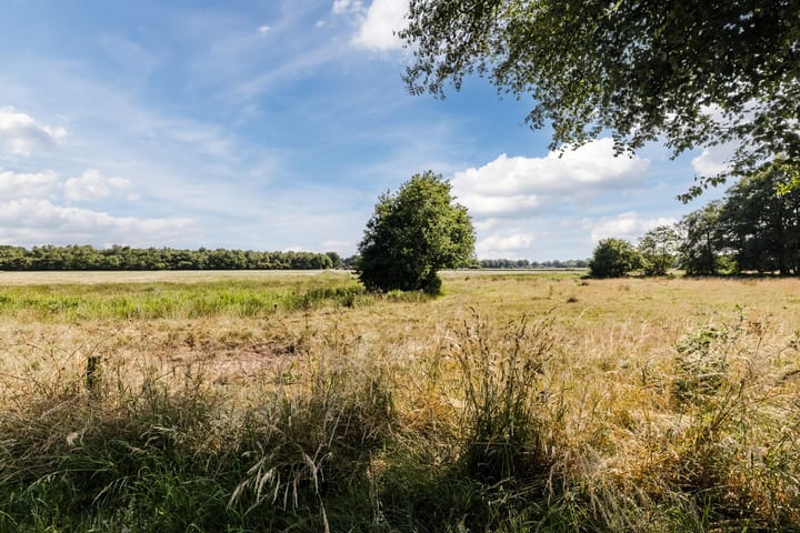 Foto 60 van Nieuwe Dijk 4