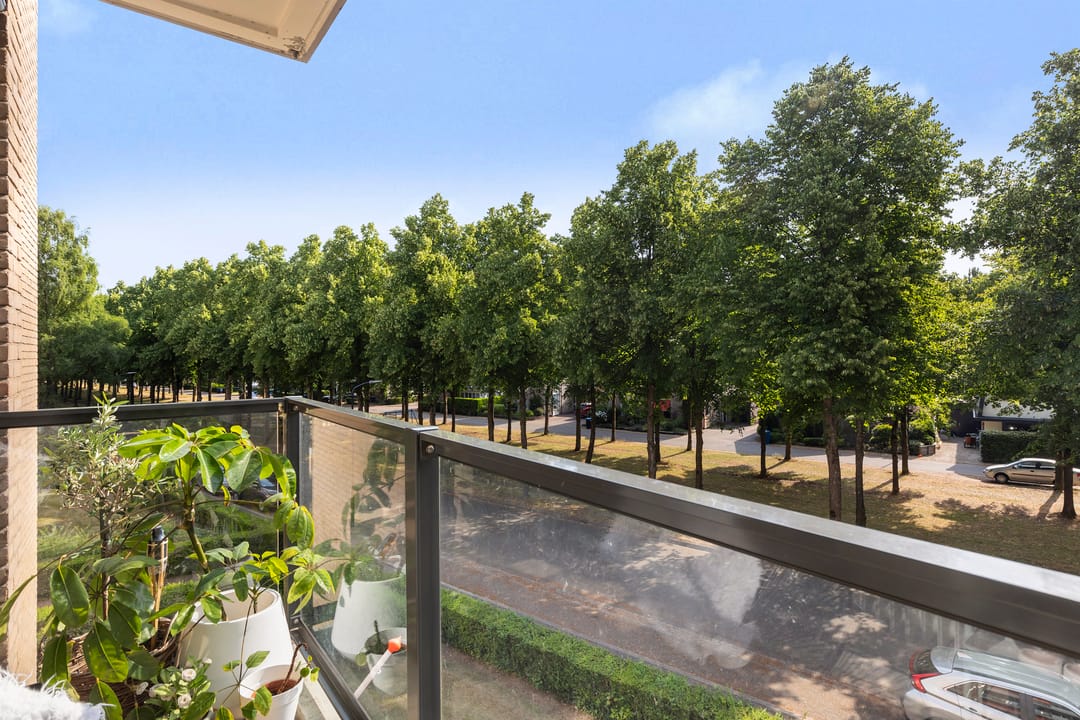 Foto 11 van Koning Lodewijklaan 104