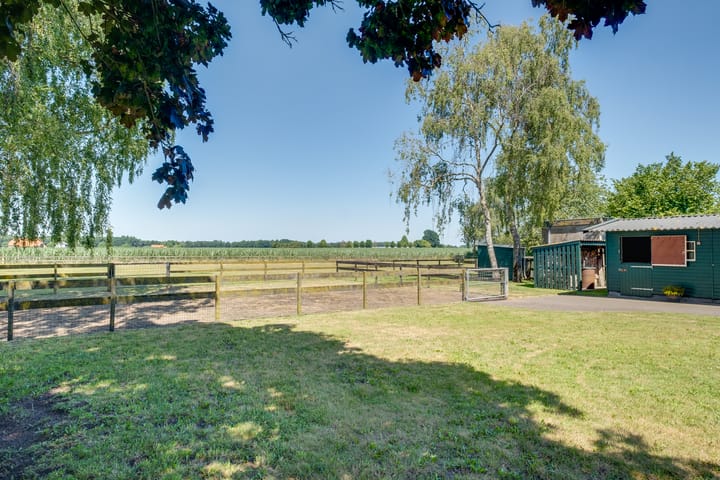 Foto 2 van Harfsense Steeg 19-A