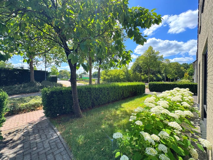 Photo 9 of Broekkant 36