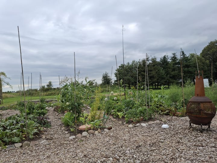 Foto 100 van Dorpsstraat 1