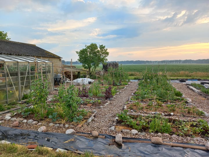 Foto 99 van Dorpsstraat 1