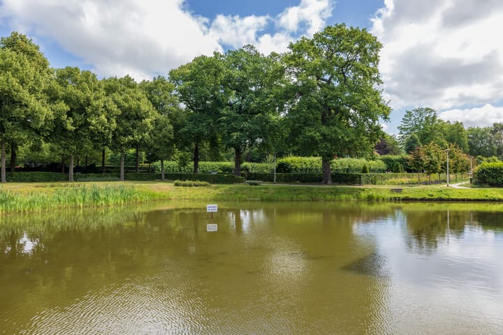 Photo 3 of Agneshove 42