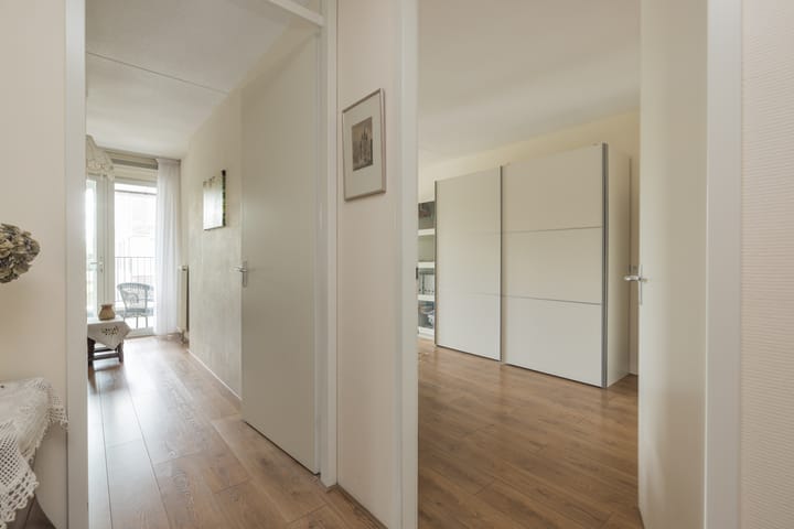 Photo 18 of Agneshove 42