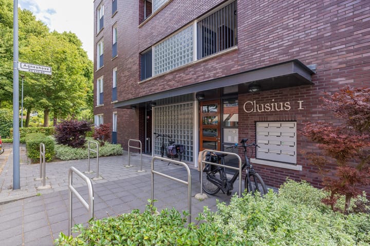 Photo 33 of Agneshove 42