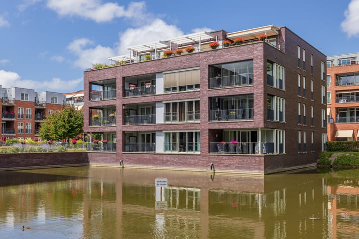 Photo 36 of Agneshove 42