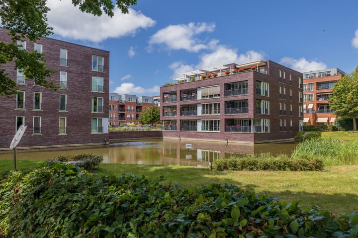 Photo 37 of Agneshove 42