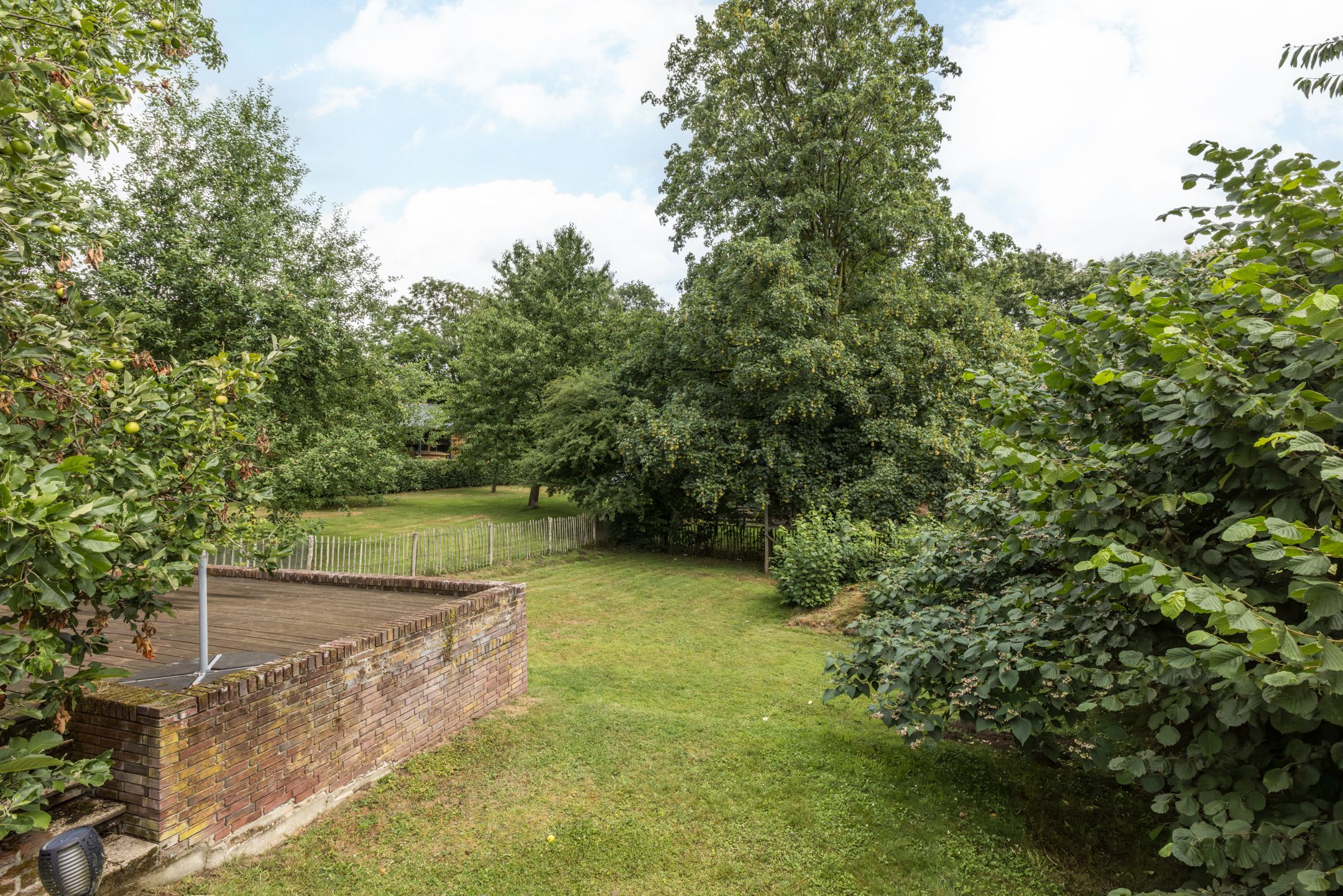 Foto 39 van Wilmenweg 31-A