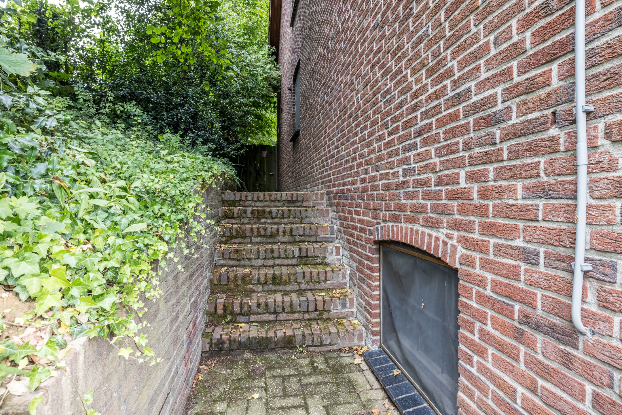 Foto 45 van Wilmenweg 31-A