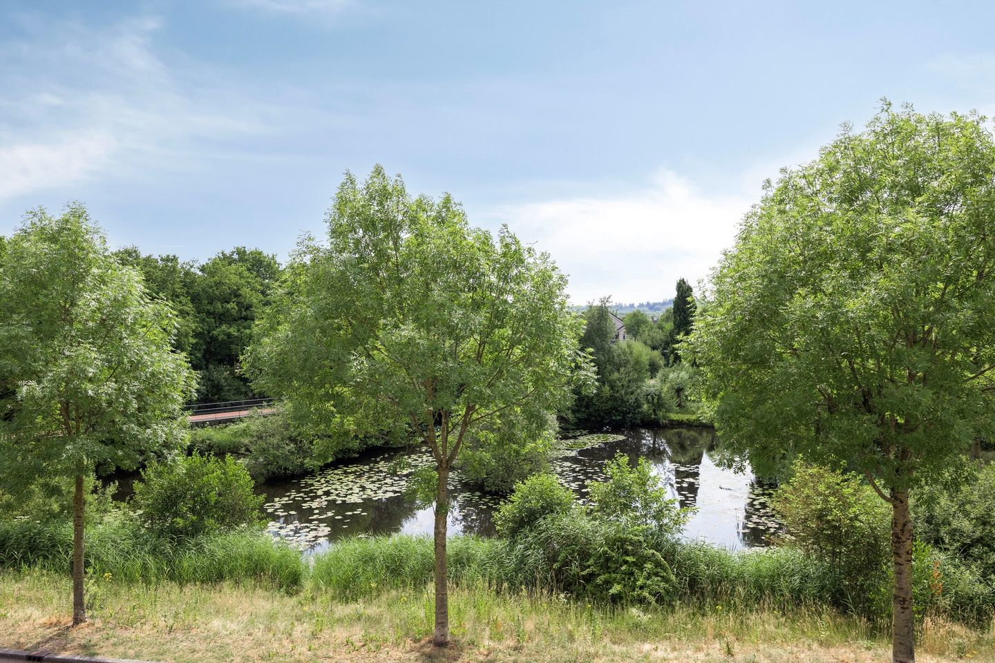 Foto 4 van Paddestoelenlaan 65