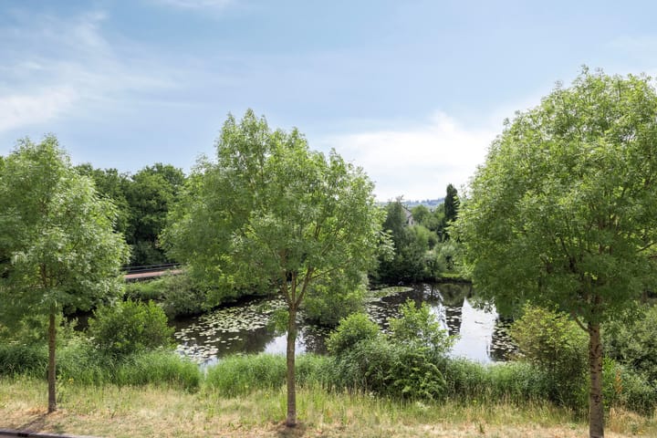 Foto 4 van Paddestoelenlaan 65