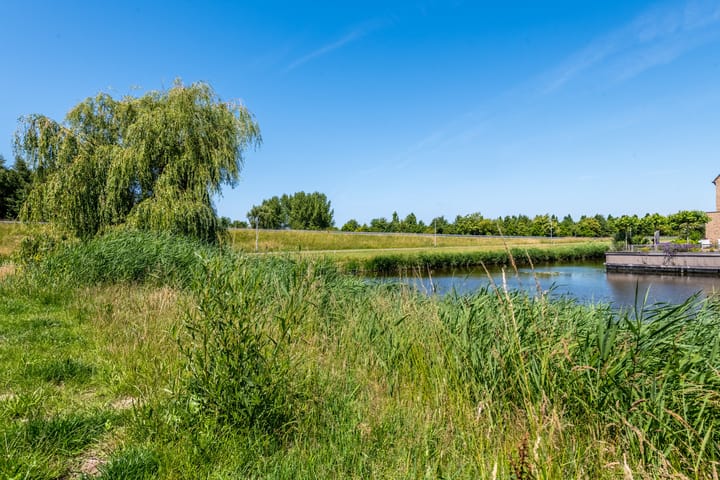 Foto 47 van Laan van Buckingham 20