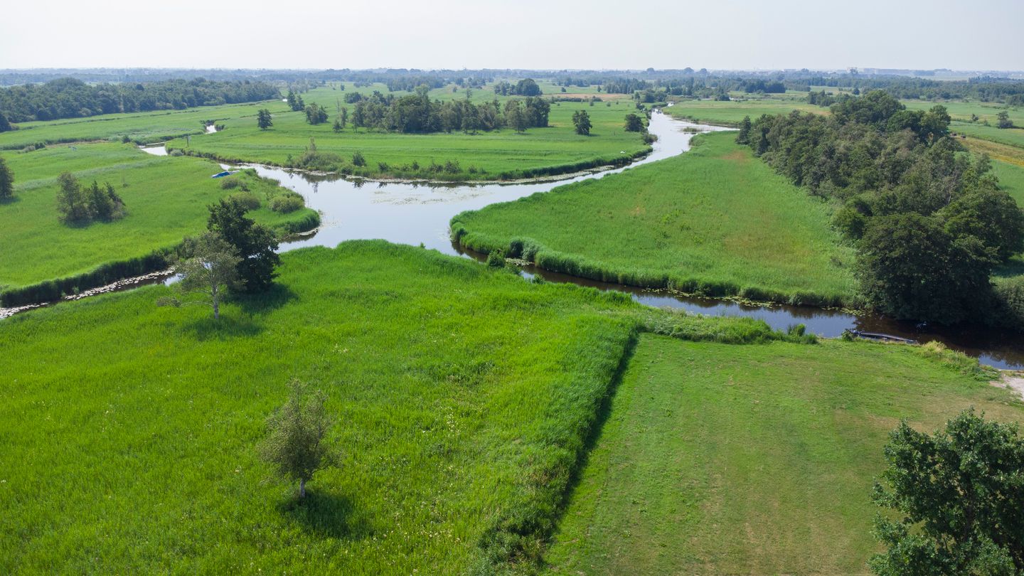Photo 5 of Wilgenlaan 9