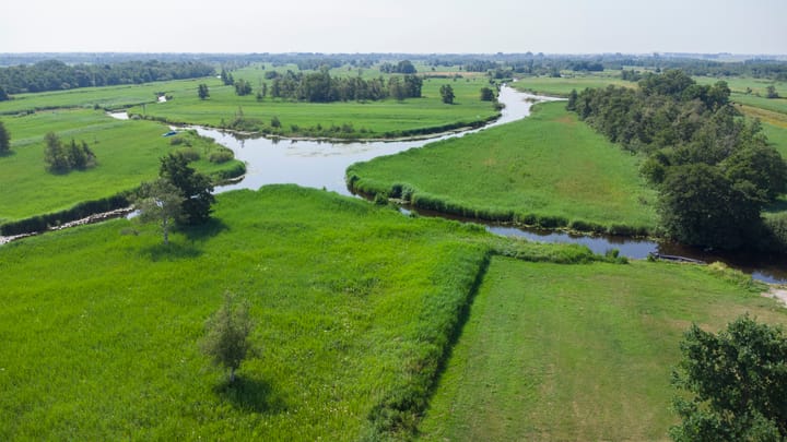 Foto 5 van Wilgenlaan 9