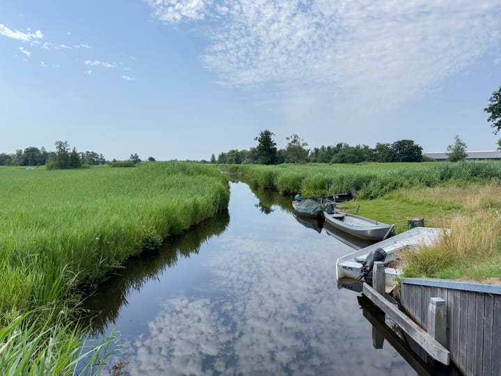 Foto 6 van Wilgenlaan 9