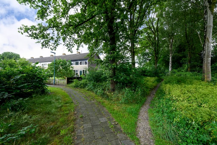 Foto 4 van Kringgreppelstraat 149