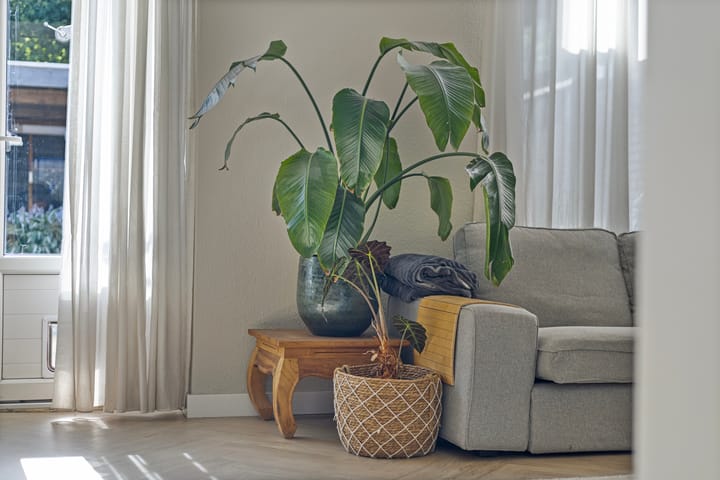 Foto 11 van Spielehorst 32