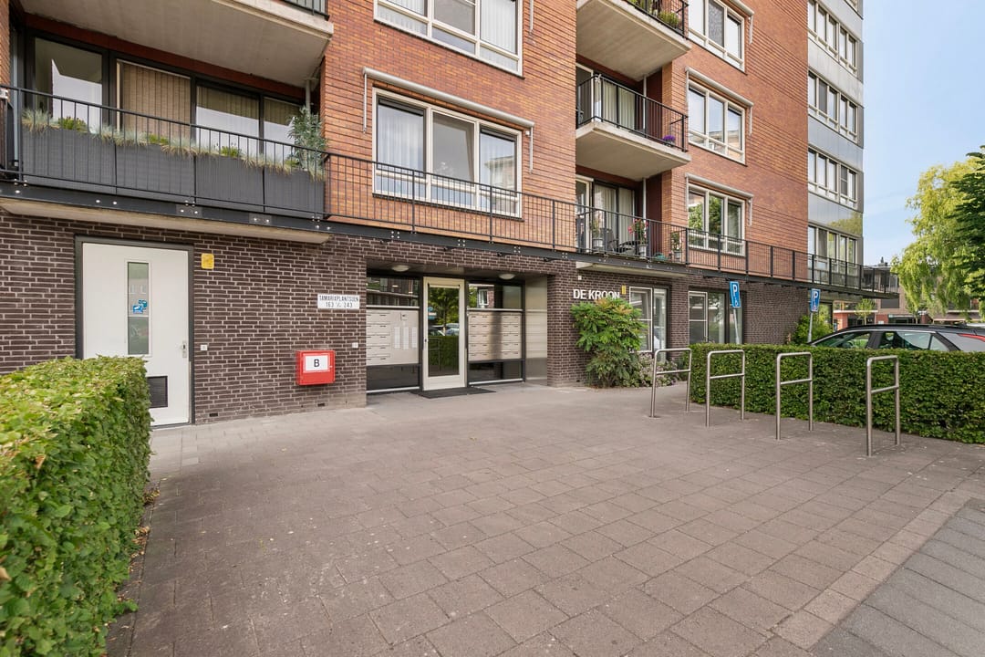 Foto 8 van Tamarixplantsoen 235