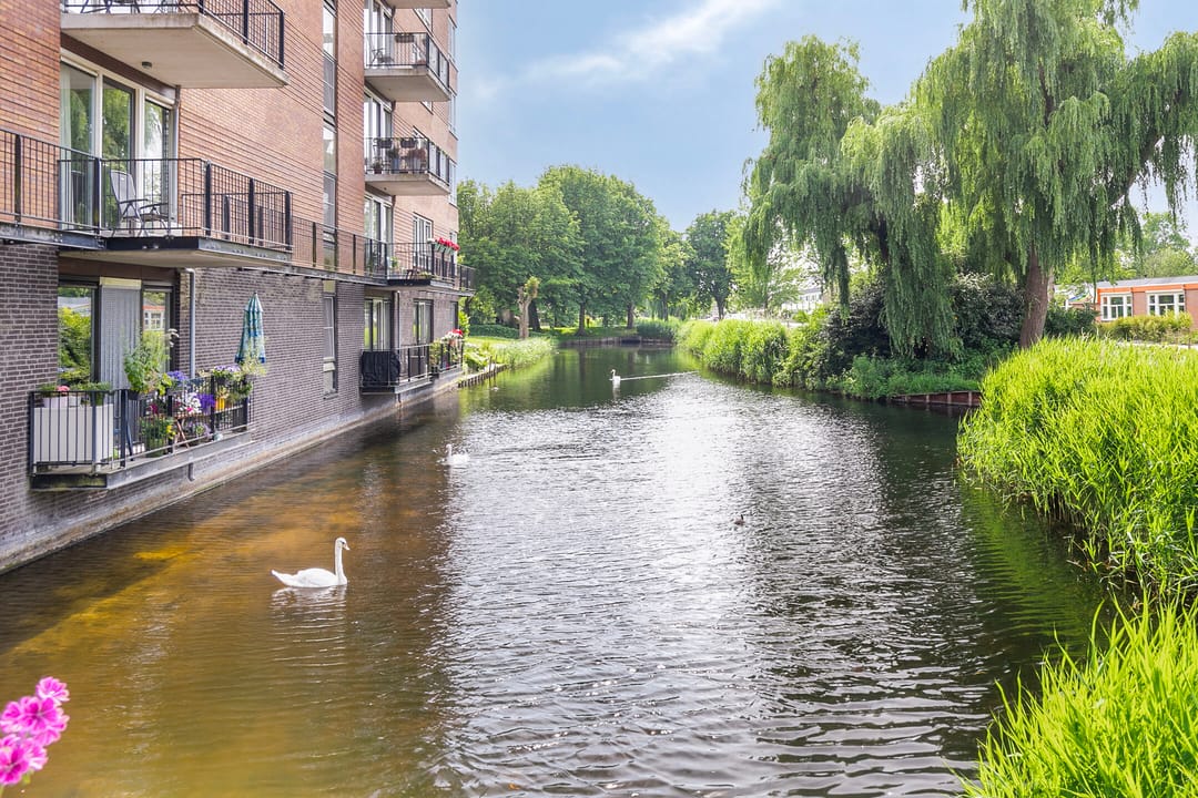 Foto 37 van Tamarixplantsoen 235