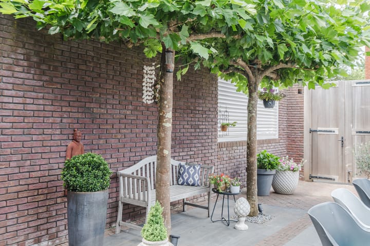 Foto 31 van Blankvoorn 20