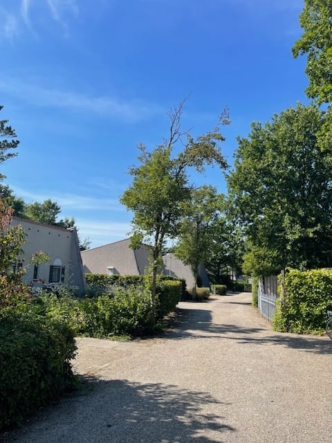 Foto 3 van Mytilus 8