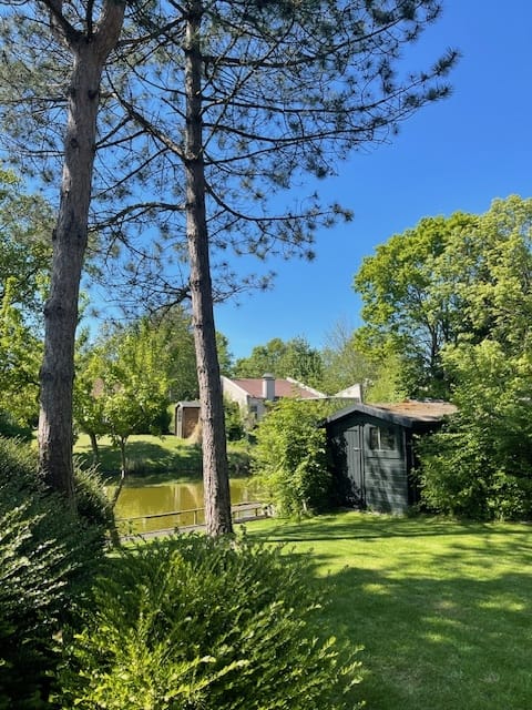 Foto 4 van Mytilus 8