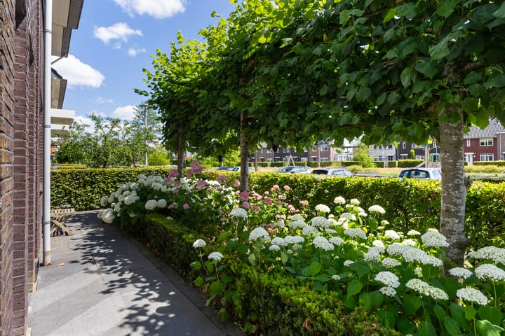 Foto 24 van Koolwitje 33