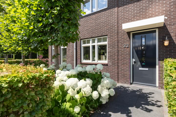 Foto 25 van Koolwitje 33