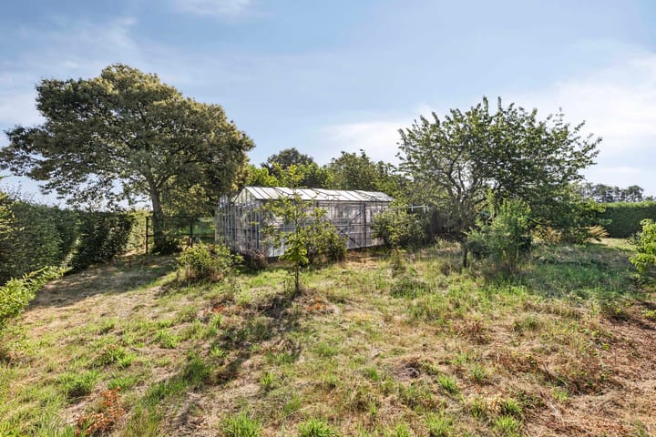 Photo 7 of Palmbosstraat 12