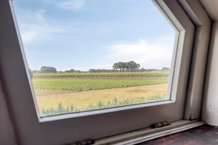 Photo 25 of Palmbosstraat 12