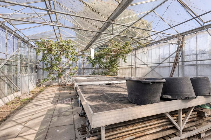 Photo 38 of Palmbosstraat 12