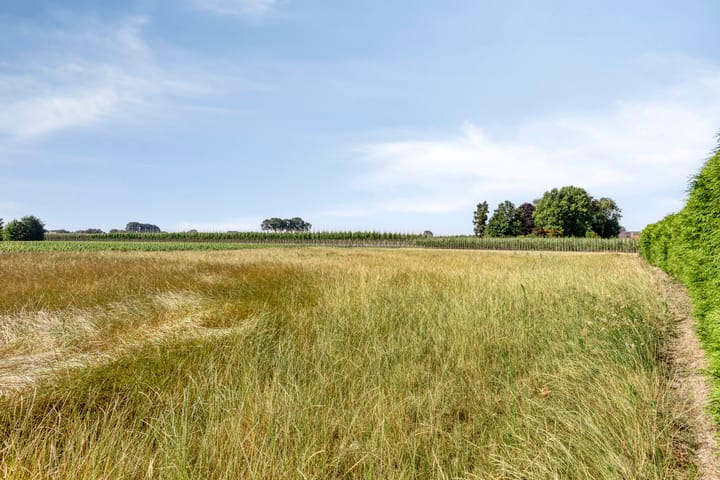 Photo 41 of Palmbosstraat 12