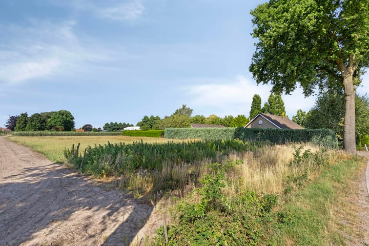 Photo 43 of Palmbosstraat 12