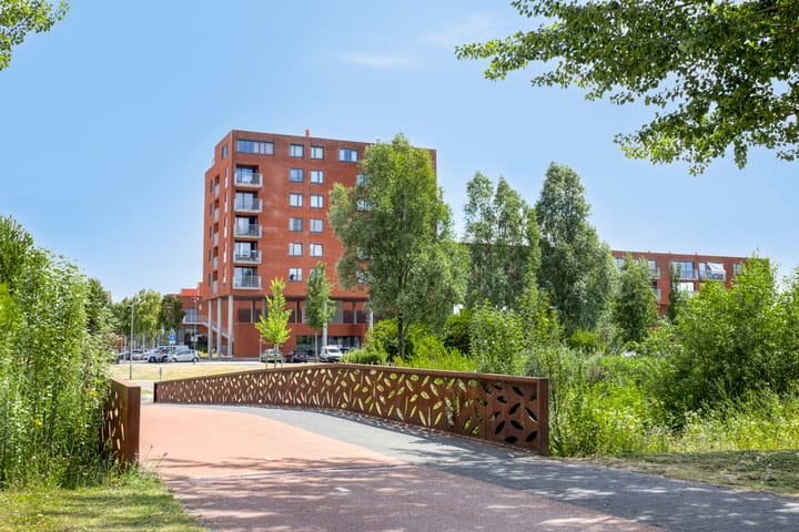 Foto 23 van Tasmanië 20