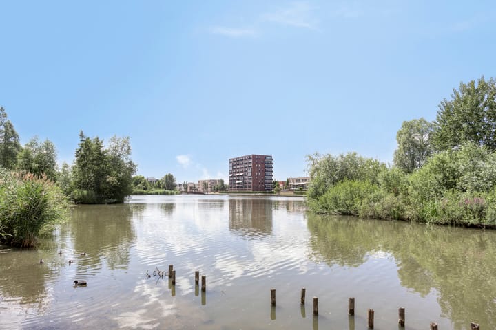 Foto 25 van Tasmanië 20