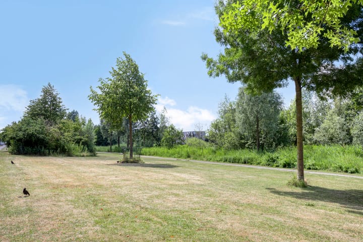 Foto 26 van Tasmanië 20