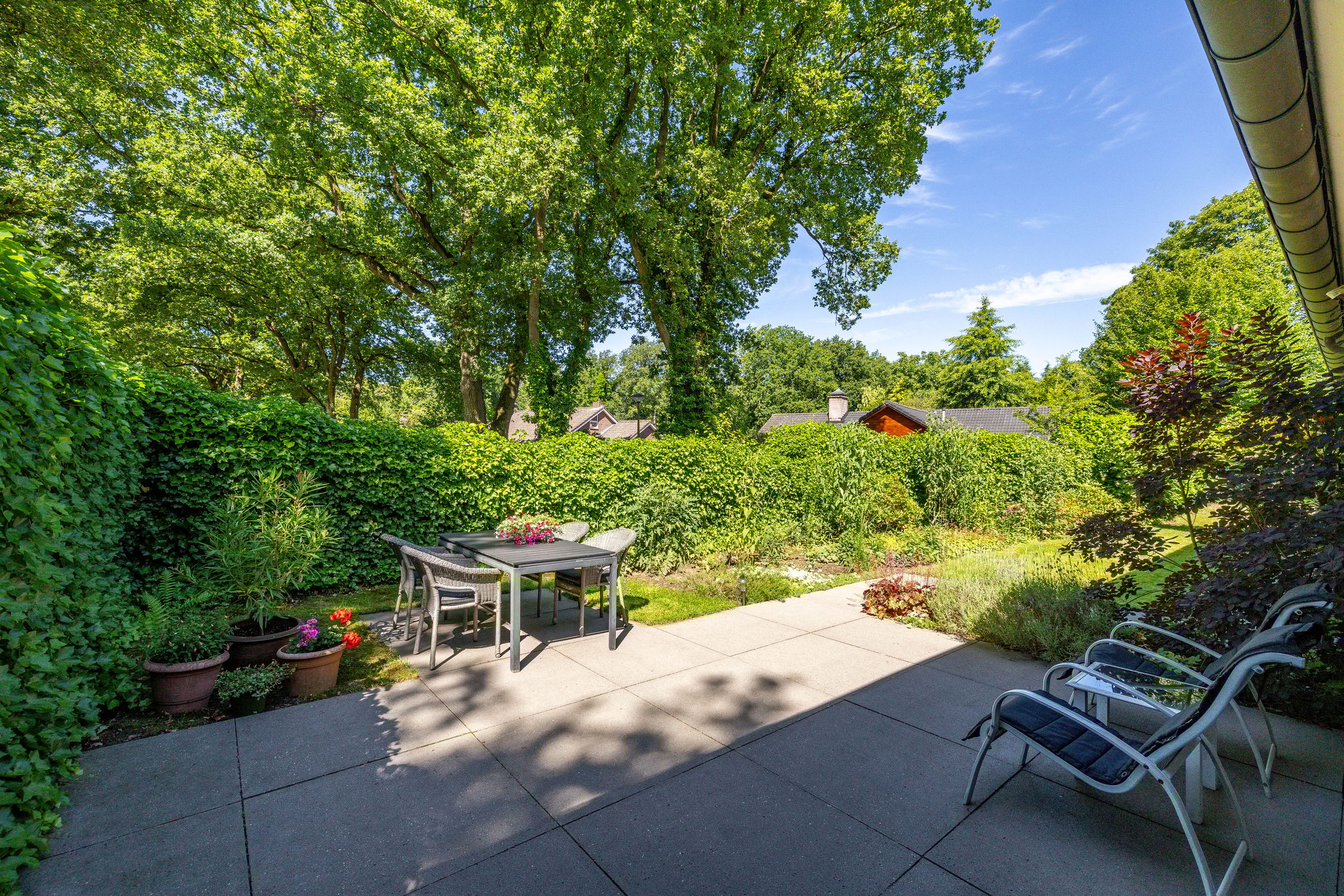 Foto 21 van het Poeltje 4