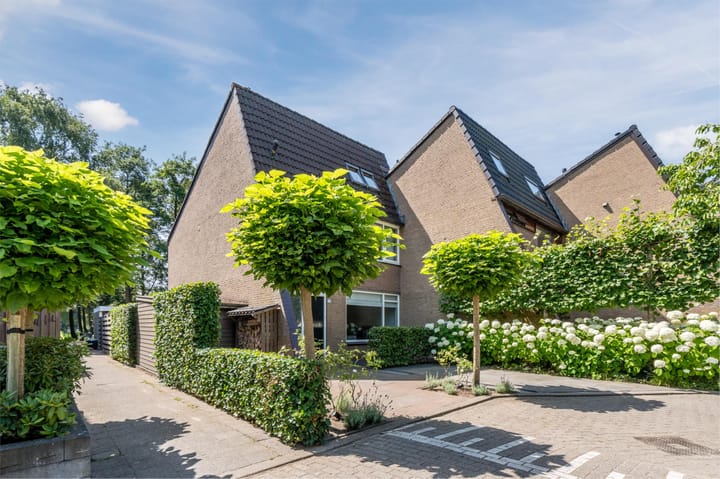 Photo 4 of Cipressendreef 13