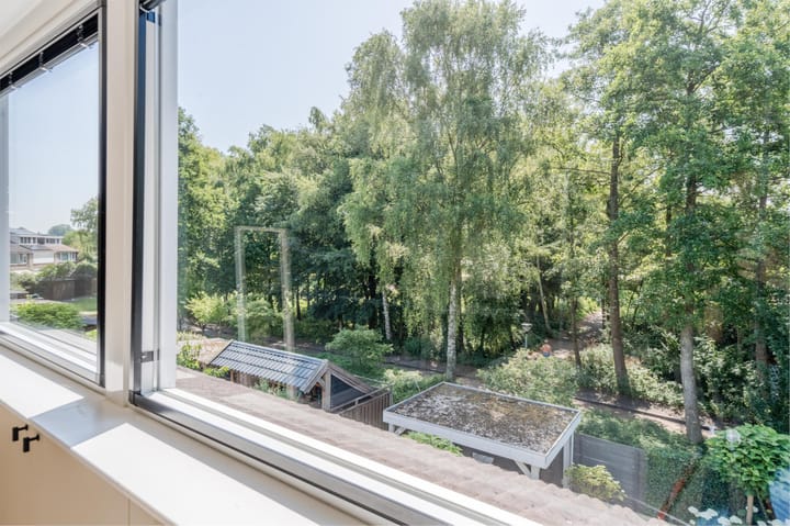 Photo 44 of Cipressendreef 13